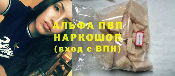 хмурый Абаза