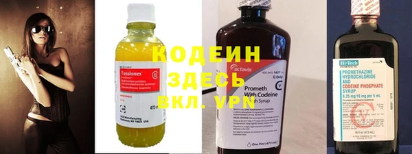 хмурый Абаза