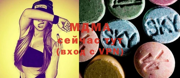 хмурый Абаза