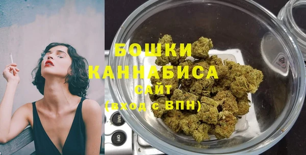 хмурый Абаза