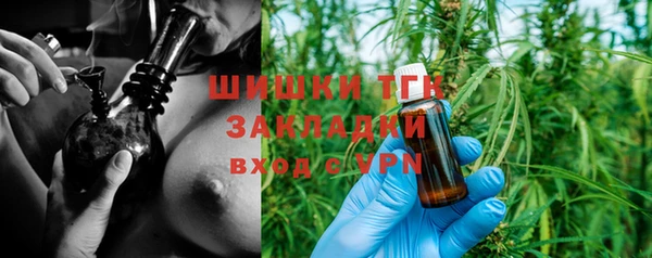 хмурый Абаза