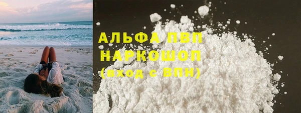 хмурый Абаза